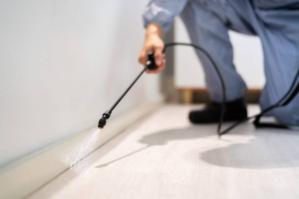 Licensed Cockroach Control service in Cactus, TX - Nex Pest Control
